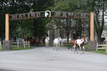 Malibu Dude Ranch